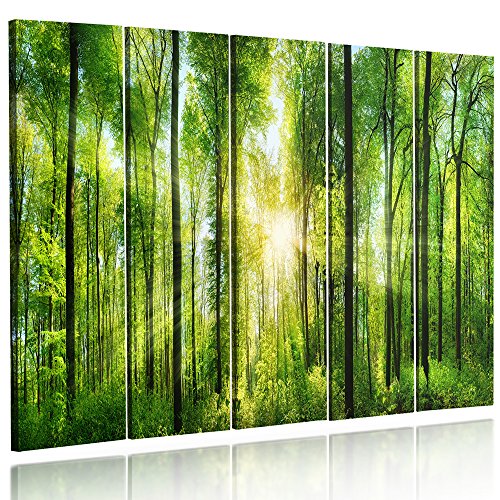 Stampa di alta qualità del quadro stampato su tela, assicura la durata dei colori per lunghi anni.