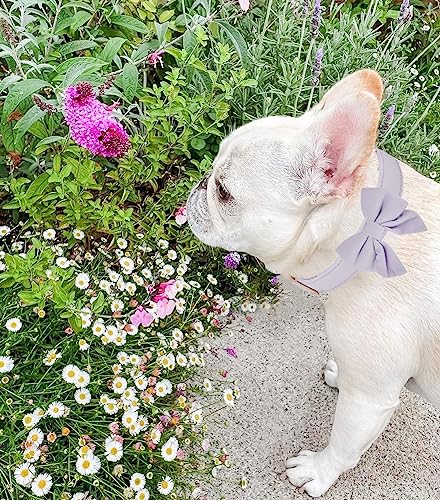 Petiry Comfortable Dog Collar with Removeable Bow,Elegant Wedding Dog Collar For Medium Dog Neck 31-49cm,Light Purple - Image 3
