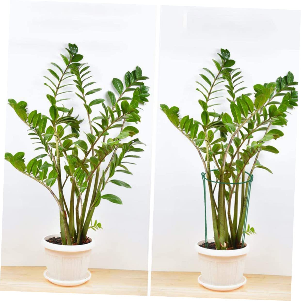 SUPVOX Tuteurs pour Plantes Demi-Ronds en Fer Verts, Lot de 6