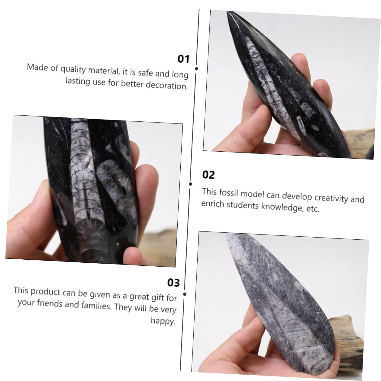 Muestra de Fósil Orthoceras Mineral Negro para Colecciones Científicas Modelo de Simulación y Herramienta de Enseñanza Adecuado para Decoración y Aprendizaje