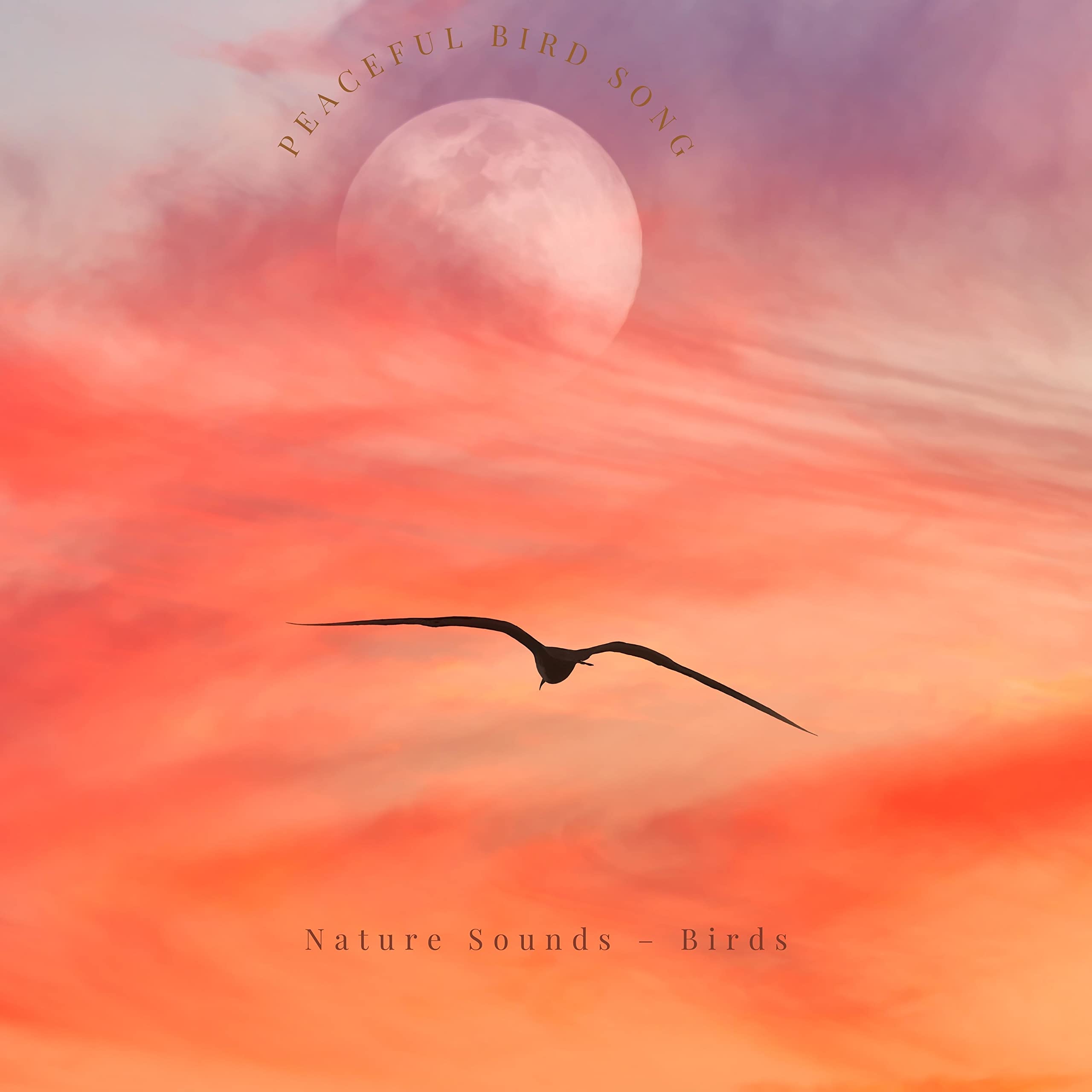 Nature Sounds – Birds