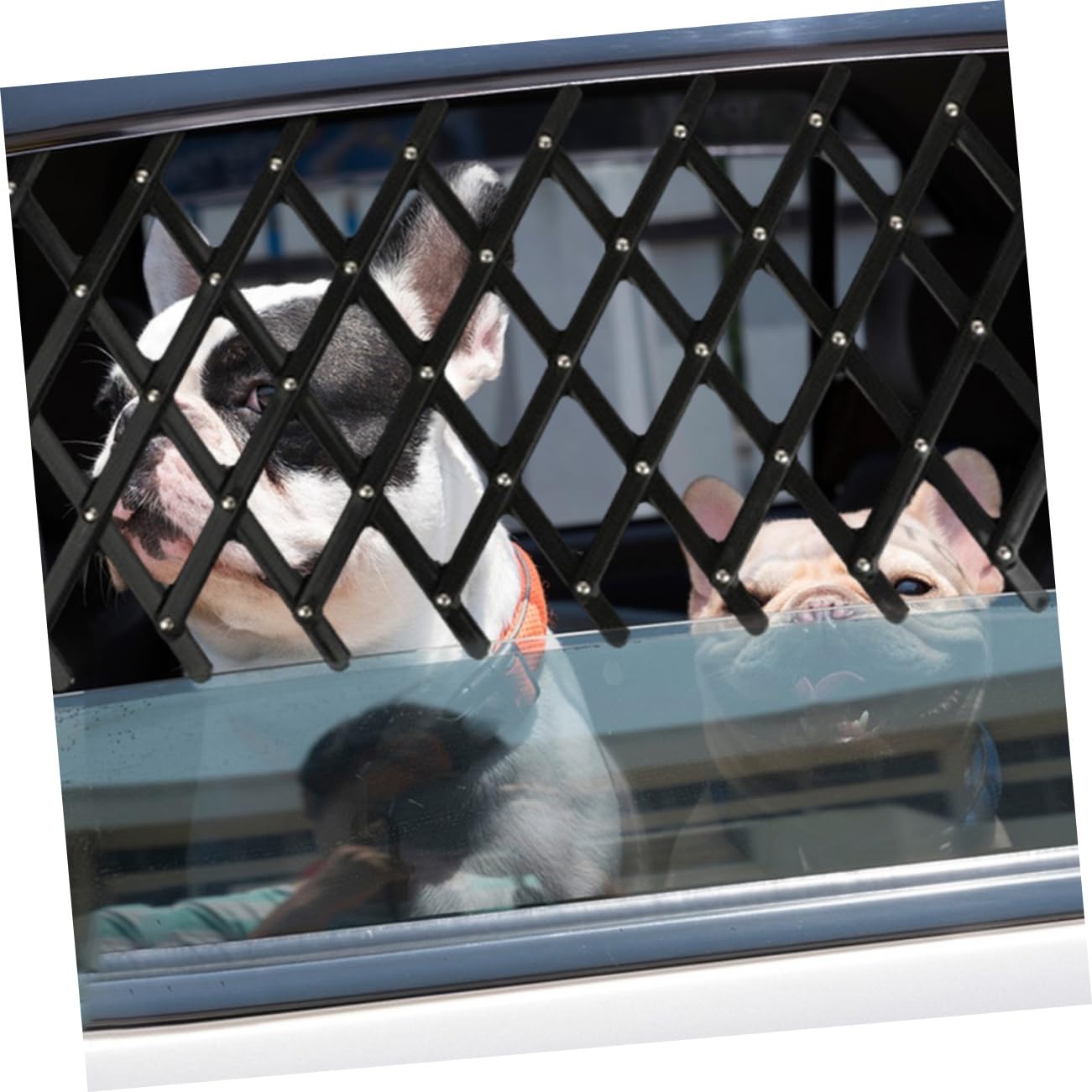 HANABASS 2 Barriera Retrattile per Auto per Animali Recinto Protettivo Portatile in PP e Facile da Conservare Adatta per Protezione e Ventilazione