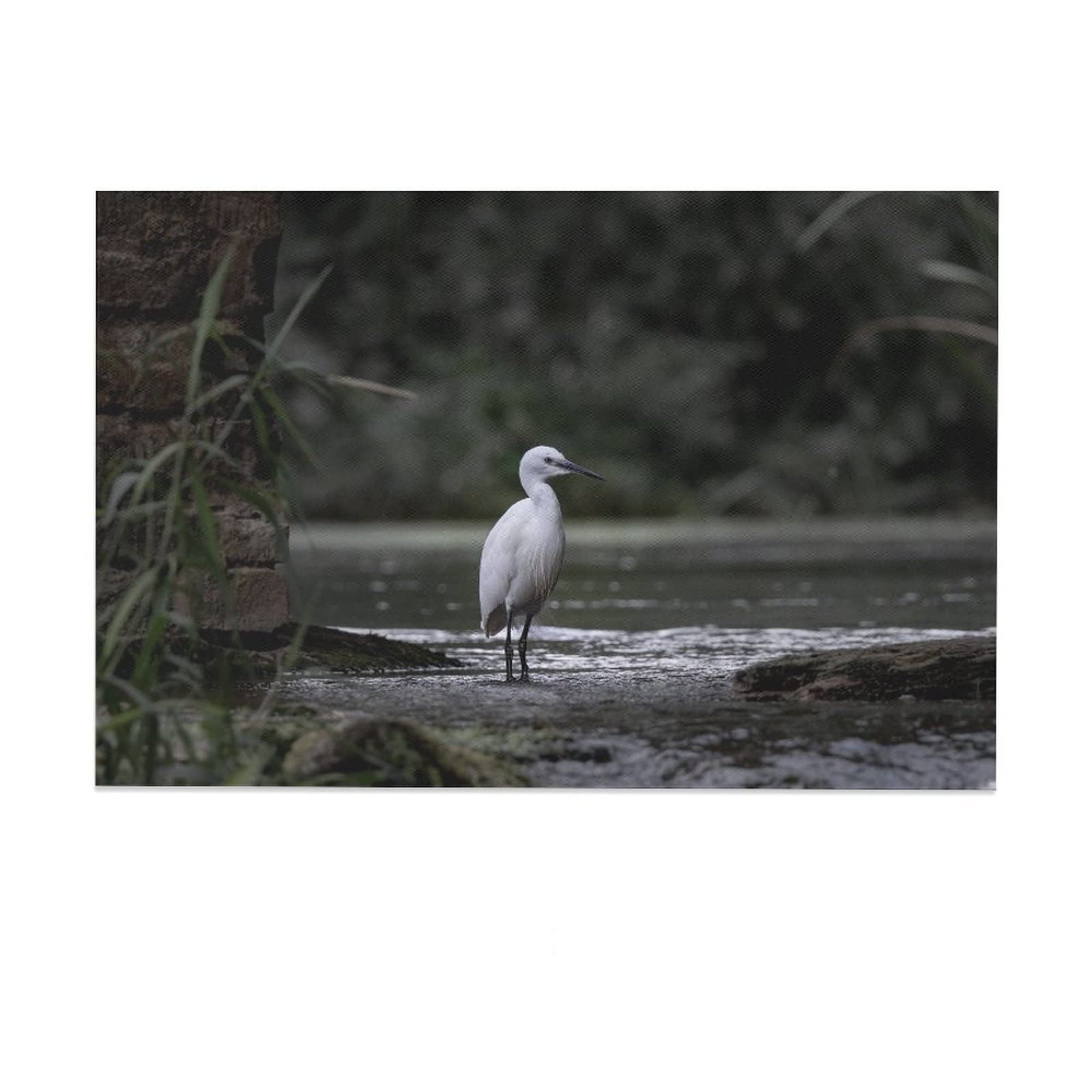 Little Egret Bird River Egret Wading Bird Canvas Poster Bedroom Decor Sports Landscape Office Room Decor Gift,Canvas Poster Wall Art Decor Print Picture Paintings for Living Room Bedroom Decoration 16