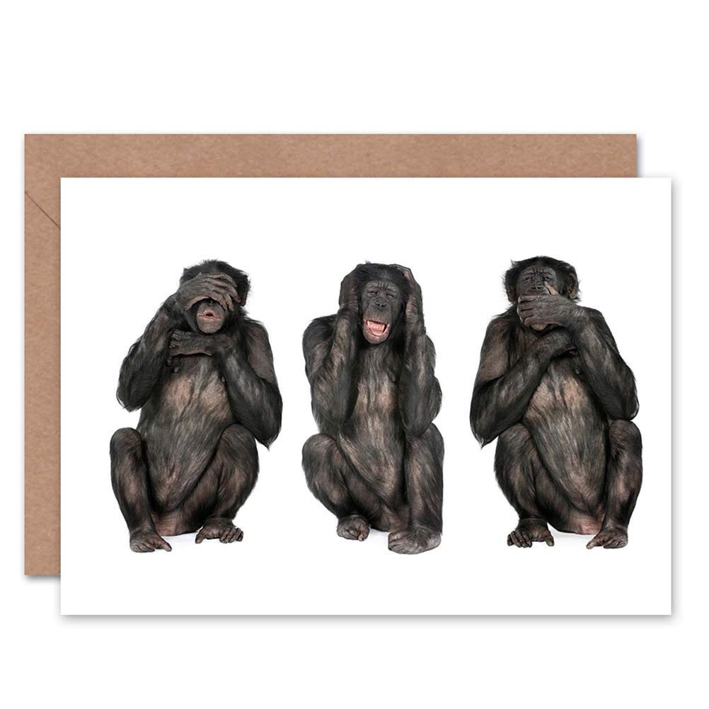 Wee Blue Coo SEE HEAR SPEAK NO EVIL BLANK GREETINGS BIRTHDAY CARD ART