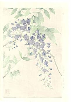 Amazon.co.jp: 額装 河原崎奨堂（18891973） 木版画 F113 藤 花