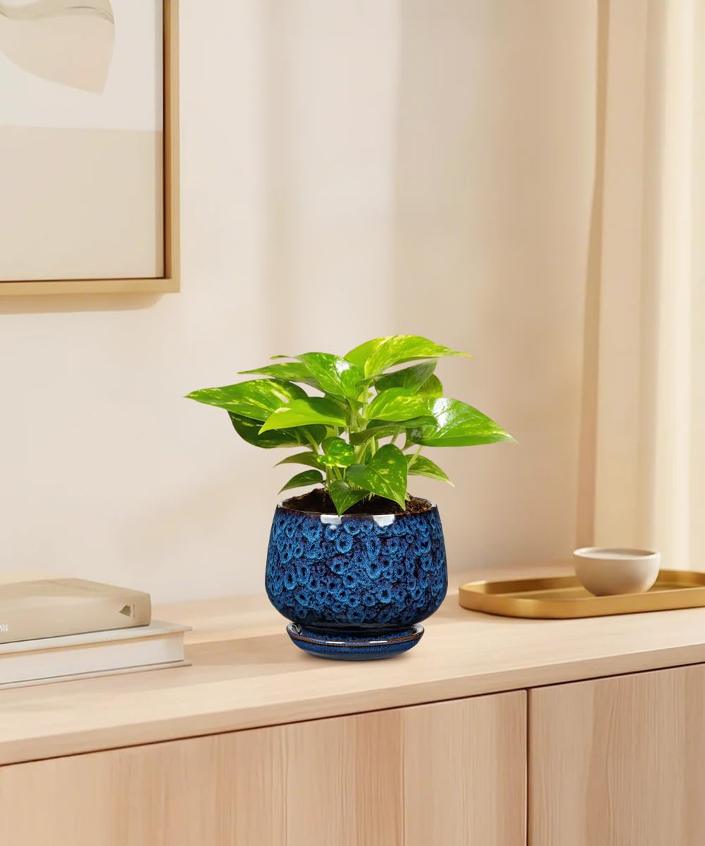 Oairse Diámetro 19 cm/15 cm Juego de 2 macetas de cerámica con almohadillas de drenaje, macetas para plantas de interior, decoración retro para juegos de contenedores de jardín al aire libre
