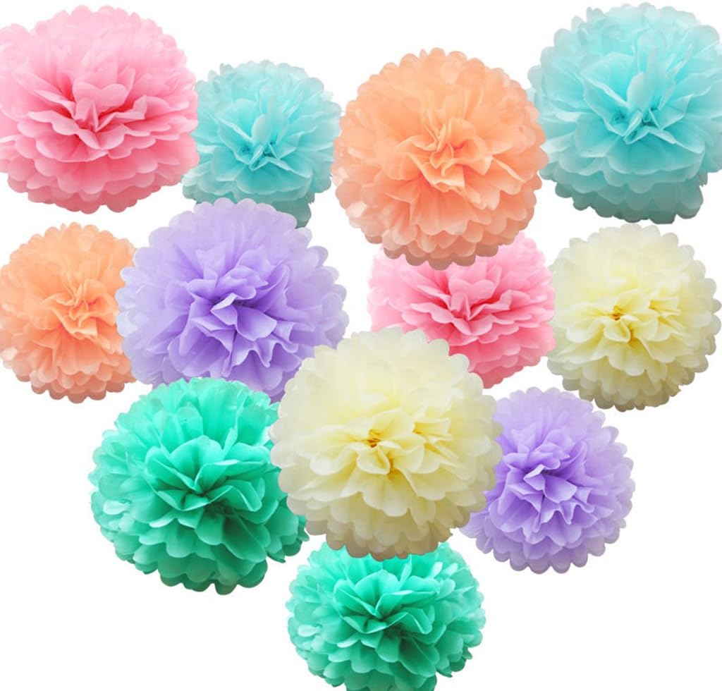 iShyan 12 Pcs Assorted Rainbow Colors Tissue Paper Pom Poms Flower Balls for Birthday Wedding Party Baby Shower Decorations