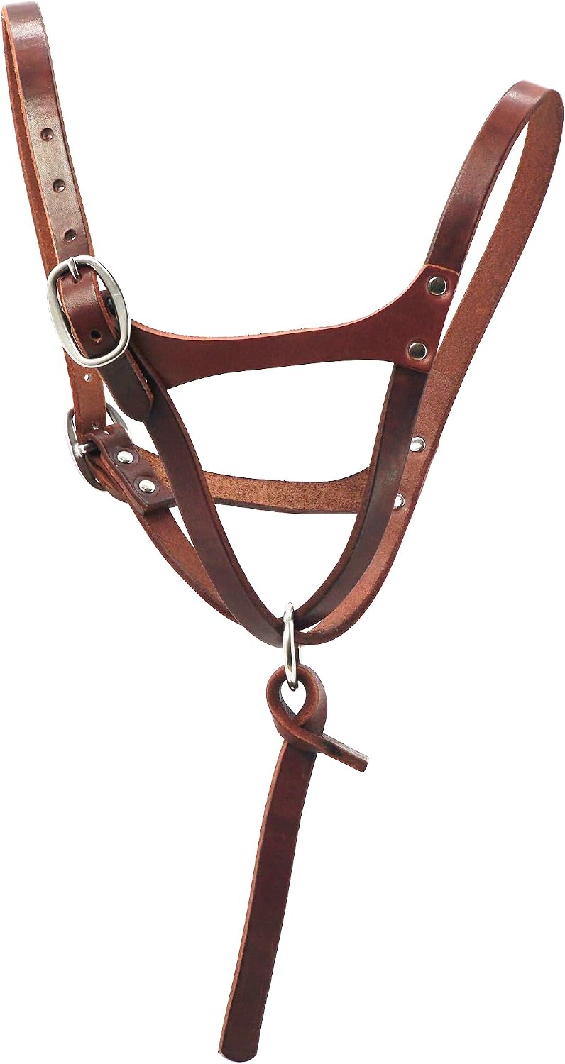 Jeereal Adjustable Figure-8 Foal Leather Halter with Extra Crown Piece, Secure Fit, Ideal for Young Horses