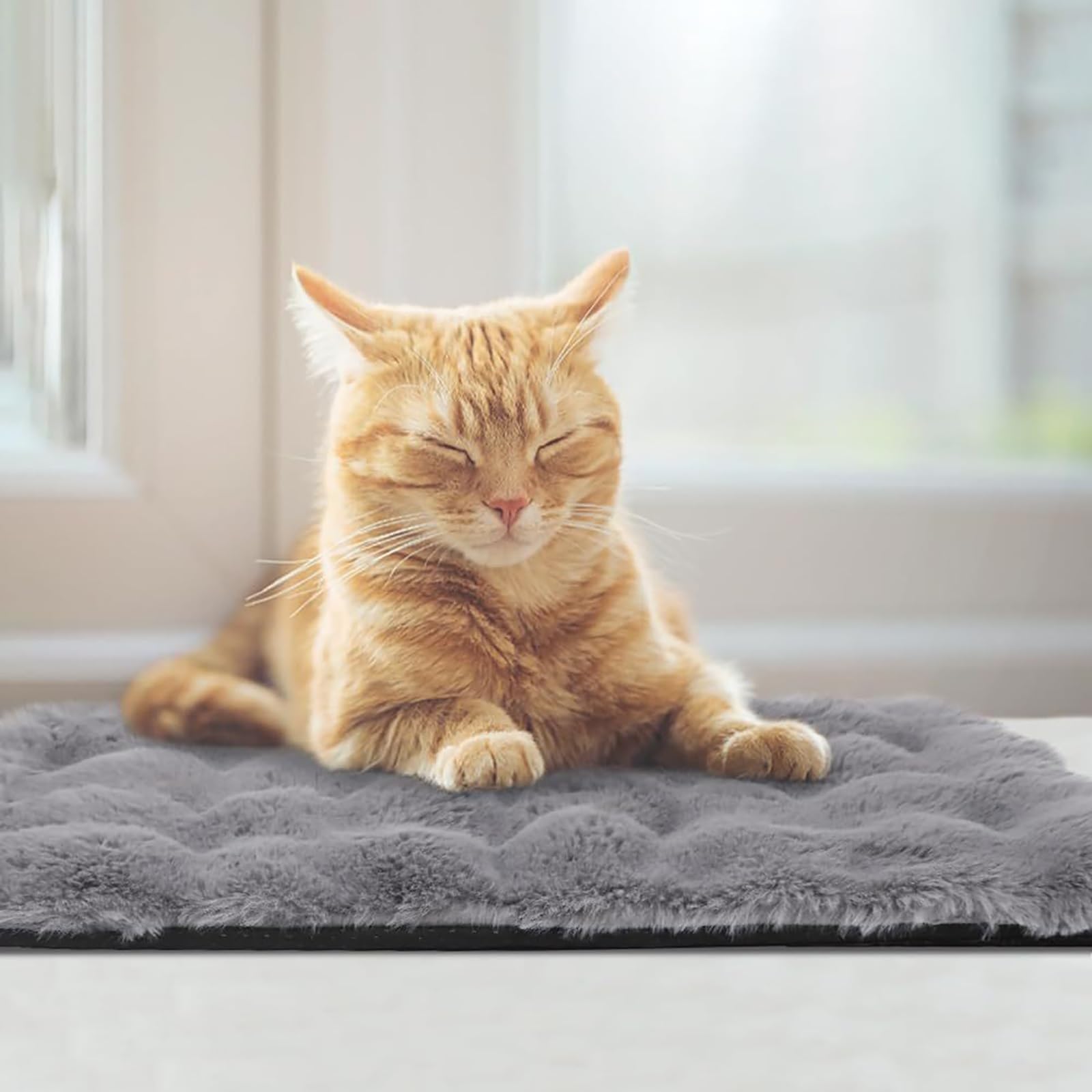 2 Stück, Selbstheizende Hundedecke, Selbstwärmende Katzenmatte, Weich und Bequem, Abnehmbar und Waschbar, für Mittelgroße/kleine Haustiere(Medium)