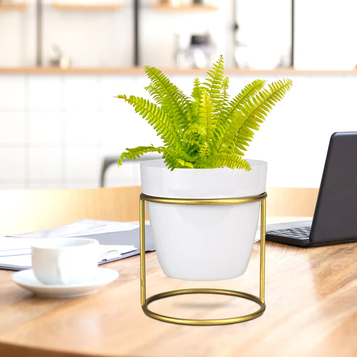 Urban Plant Modern Metal Planter with Golden Stand, Small (White) (B099PZ2MZC) Amazon Price History, Amazon Price Tracker