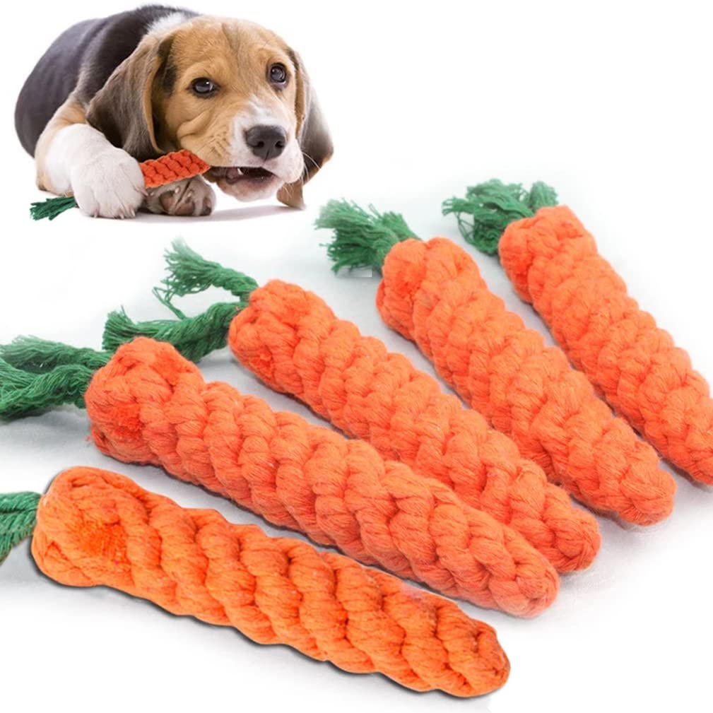 Gioco per Cani Carota, 3 Pezzi, giocattolo da masticare per cani