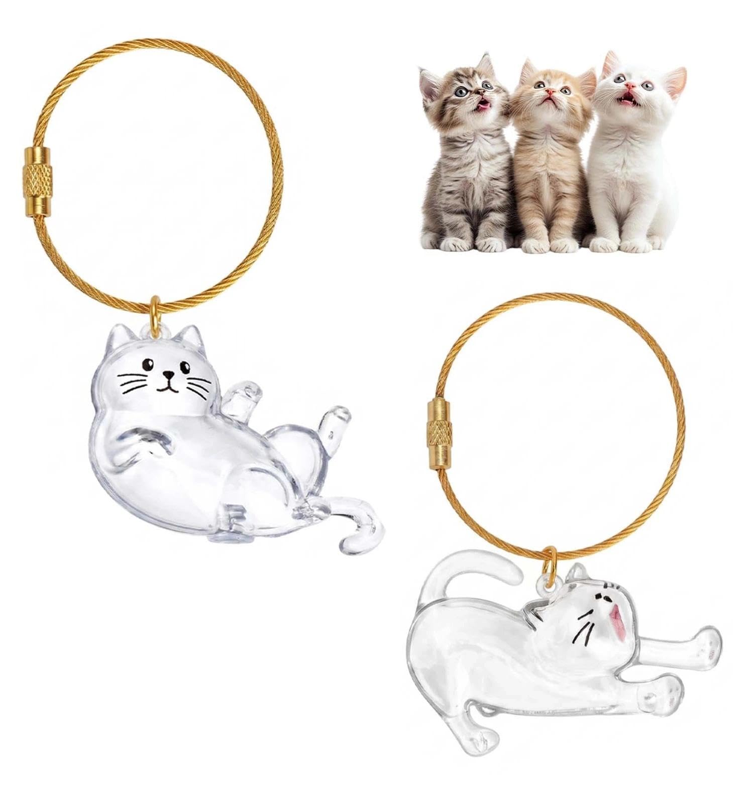 Boîte à Souvenirs pour Poils d'animaux de Compagnie, Porte Clef Chat, Porte Clé Chat, Porte-Clés Souvenir de Poils d'animaux de Compagnie pour Amoureux des Animaux Souvenir Chien Chat Décédé