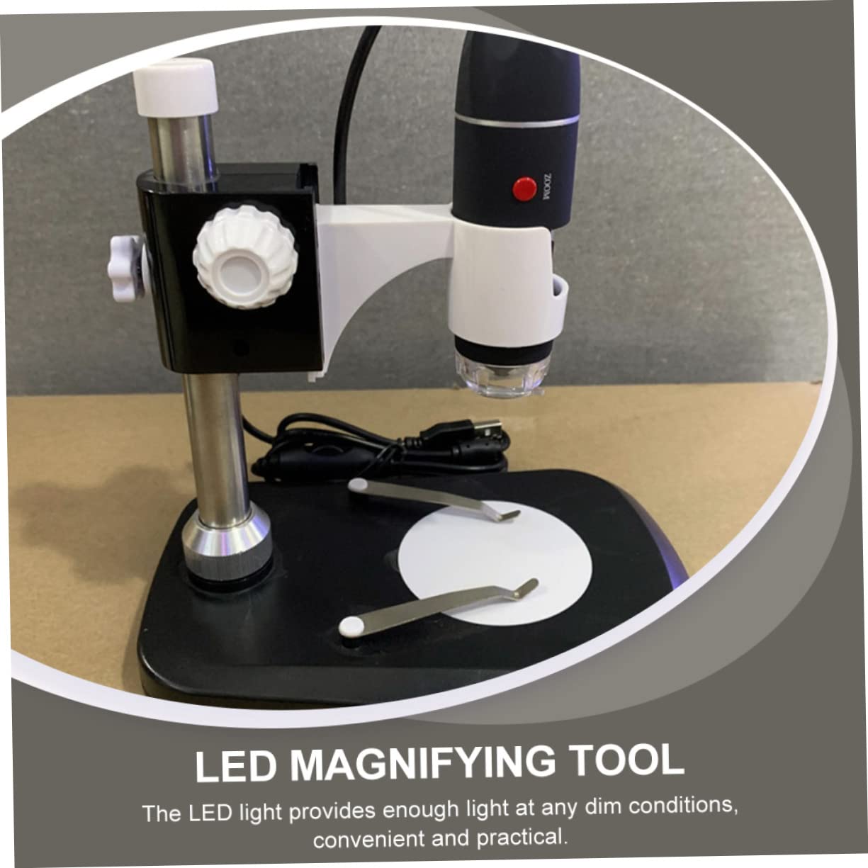 Microscopio Digital Portátil 1600x Negro de Abs USB | Luz LED Ajustable, para Joyería y Monedas, Formato Compacto de Bolsillo