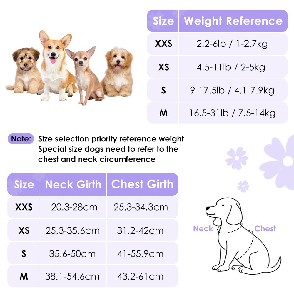 SlowTon Puppy Harness and Leash Sets - Image 3