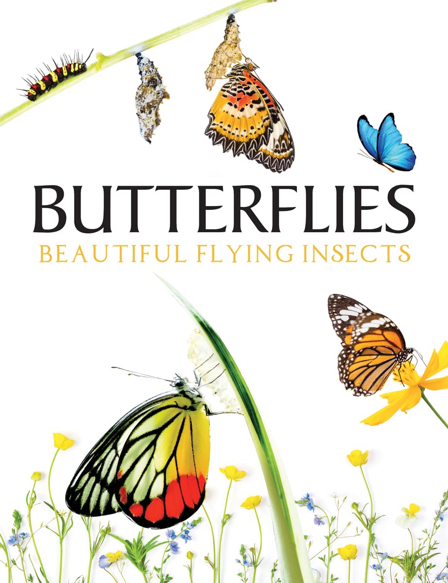 The International Butterfly Book 英語版 初版本 61KUBgn4CqL.jpg