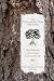 The Appalachian Trail, Step by Step: How to Prepare for a Thru or Long Distance Section Hike