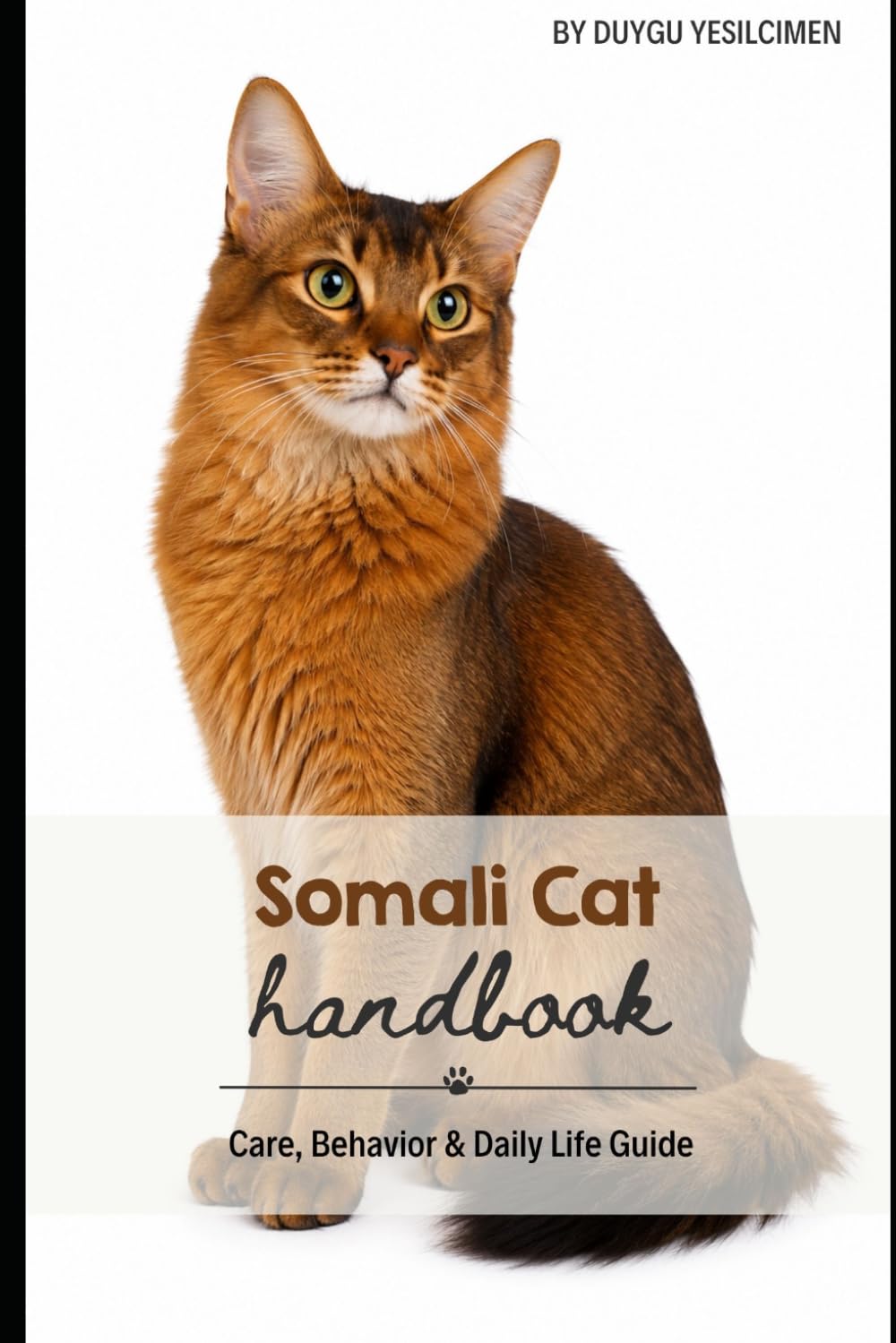 Somali Cat: Care, Behavior & Daily Life Guide