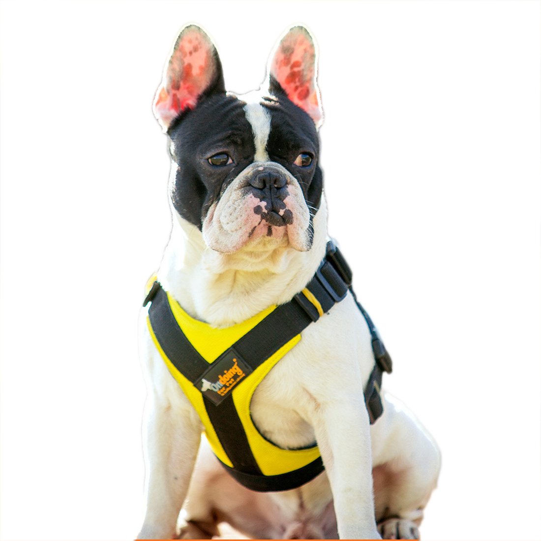 Ondoing No-Pull Dog Harness Safe Vest Adjustable Chest Harness Heavy Duty Car Harness Escape Proof Padded Training Harness Small Medium Large Dogs (yellow, S) โ image 1
