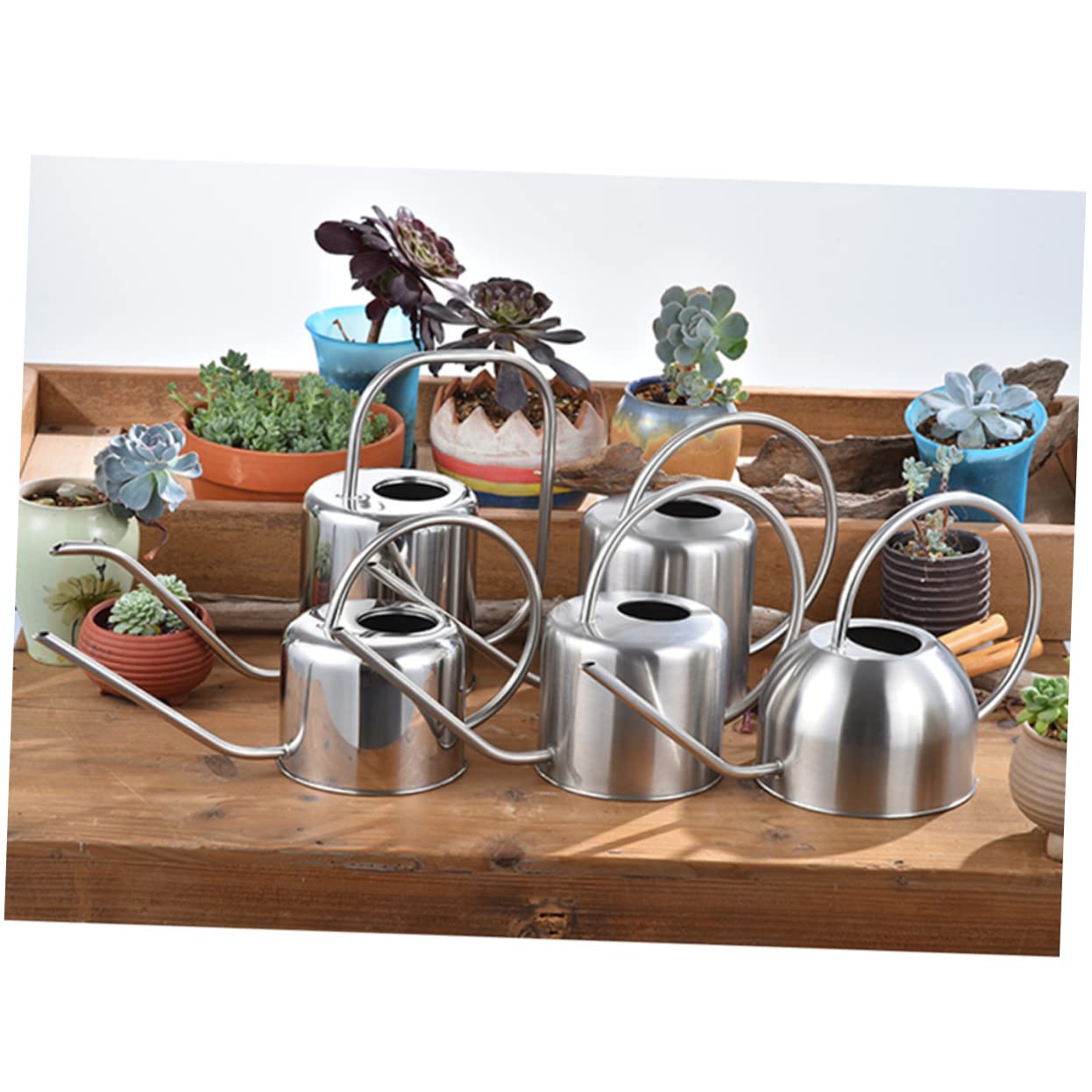 Regadera de Acero Inoxidable 1, 3 L para Suculentas y Flores de Interior