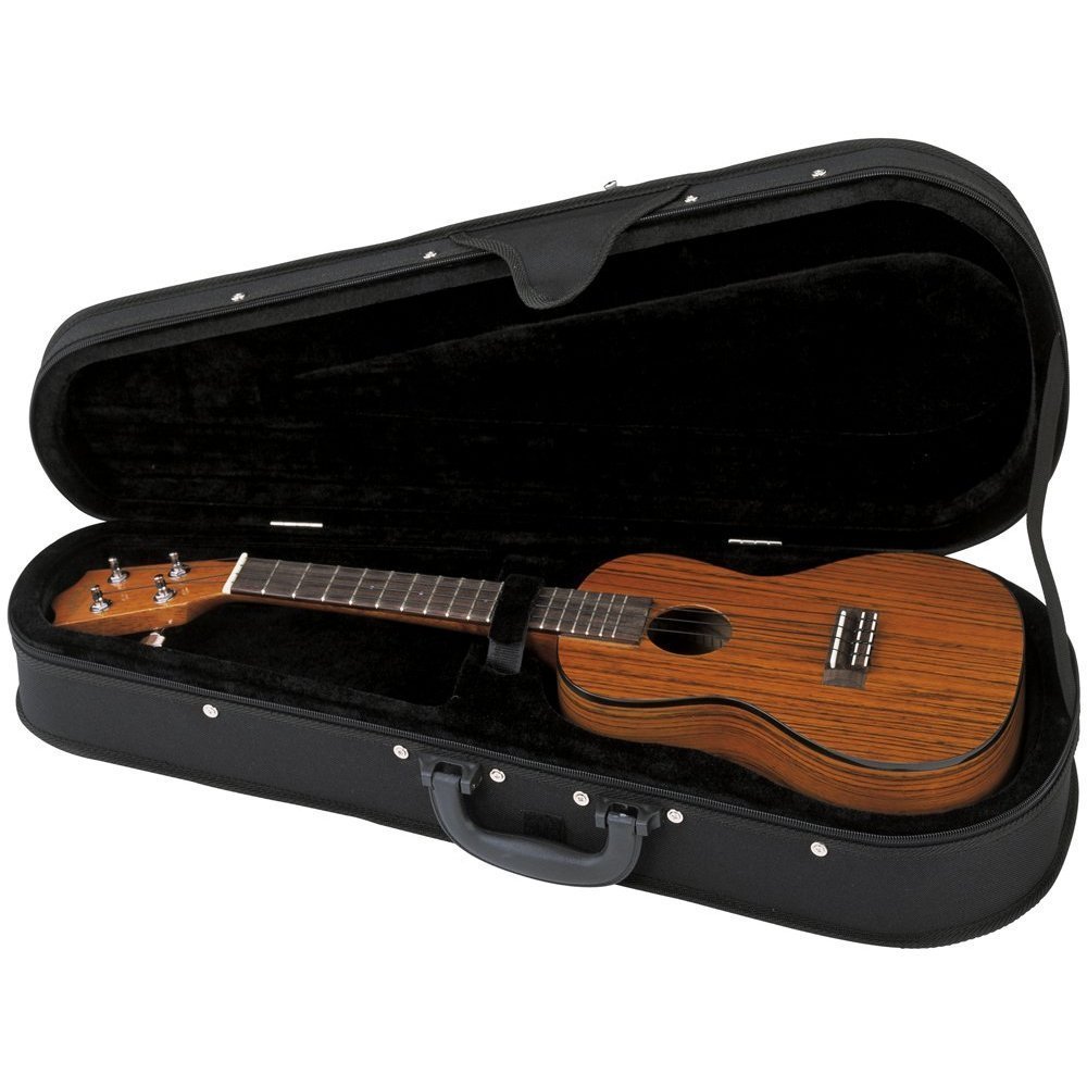 Lanikai Concert Ukulele Polyfoam Case
