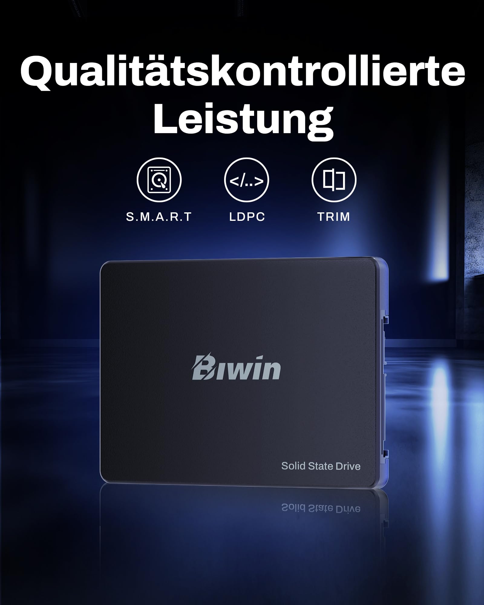 Biwin M100 SSD 512GB 2.5