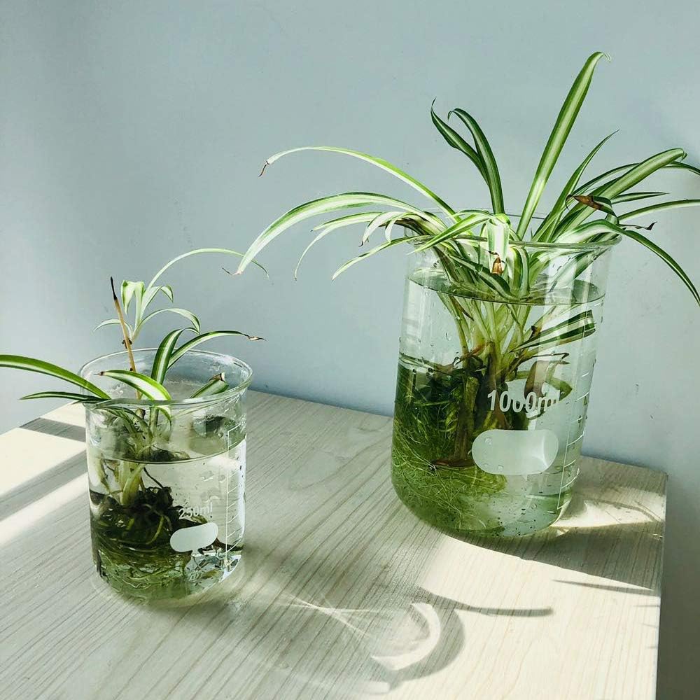 ULAB 6 Stück Glas Berker 500ml, Borosilikatglas Becher mit Graduierung, Glasbecher Set für Labor, Küche, Schule UBG1038