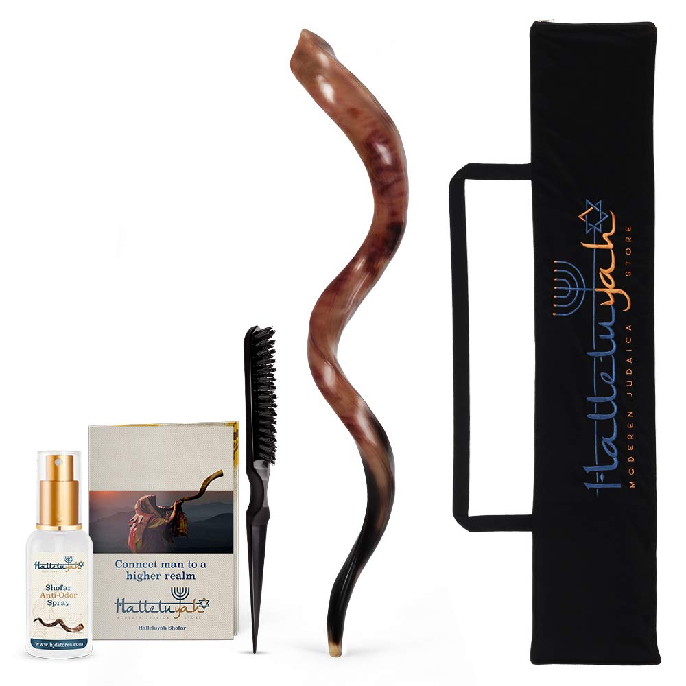 Buy HalleluYAH Shofar From Israel Shofar Set 41" 43" Fully Polished