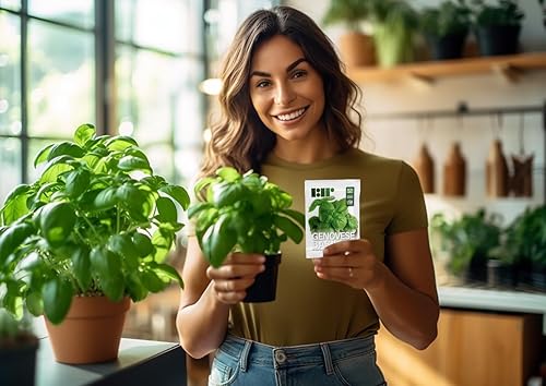 Miniatura 3 de Semillas de albahaca genovesa para plantar, cultivadas en Estados Unidos, más de 150 semillas, semillas de albahaca dulce premium para interiores o