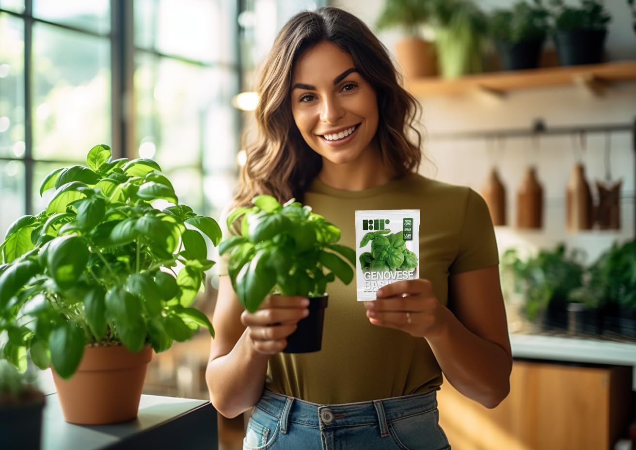Semillas de albahaca genovesa para plantar, cultivadas en Estados Unidos, más de 150 semillas, semillas de albahaca dulce premium para interiores o exteriores 3