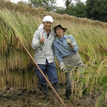 Amazon.co.jp: いつくの郷 自然栽培天日干しササニシキ（玄米