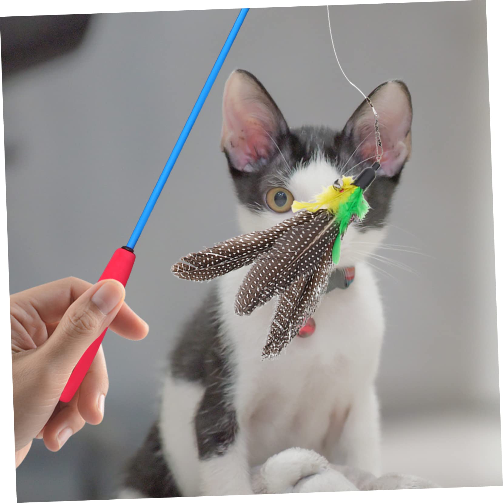 VANZACK Interactive Cat Toy 1 Set Cat Indoor Kitten Teaser Stick Replacement Head