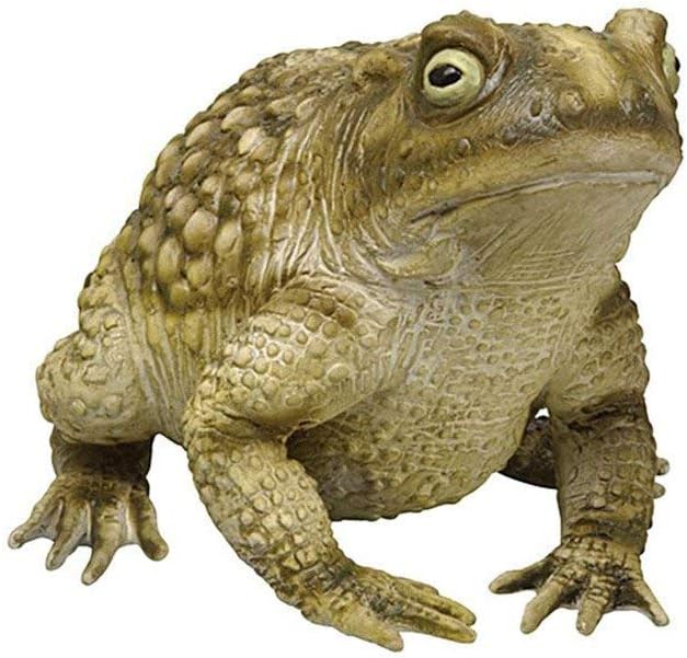 Dillon Imports Giant Foam Latex Toad Frog Garden Prop