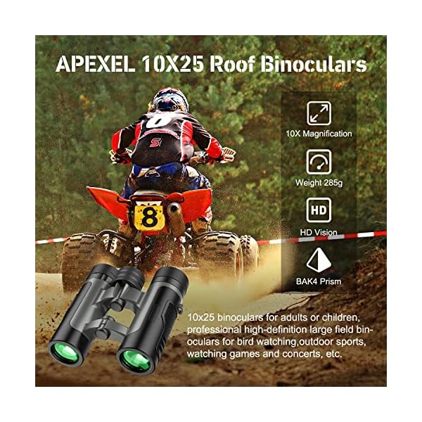 APEXEL 10X25 Klein Fernglas für Kinder und Erwachsene, Kompakt Fernglas mit FMC Objektiv und Prisma BAK4, Wasserdichtes… – Bild 3
