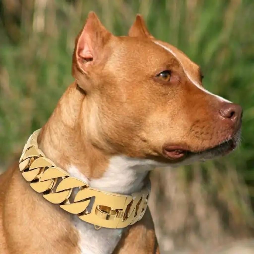 Goldfarbenes Hundehalsband, 32mm, Kubanisches Gliederhalsband mit Sicherer Schnappschnalle, 18 Karat Edelstahl, Für Alle Rassen, Mittelgroße Und Große Hunde(Gold,45cm)