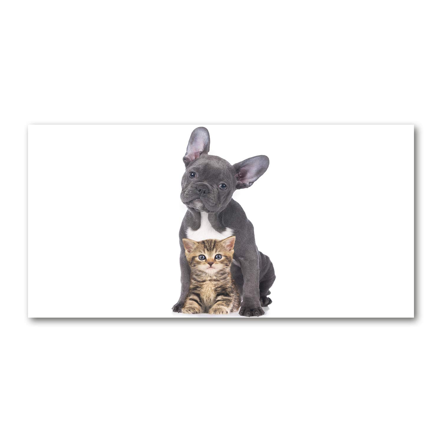 Image sur verre 120x60 chien et chat noir pour décoration cuisine moderne