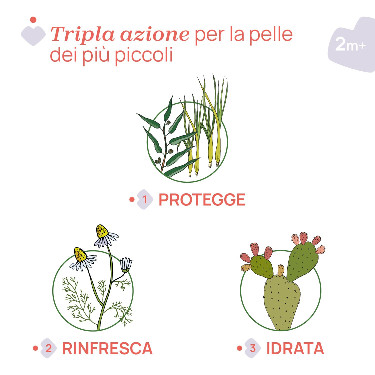 CHICCO NaturalZ Salviette Protettive, 20 pz, Citronella ed Eucalipto, Protezione Naturale Estate