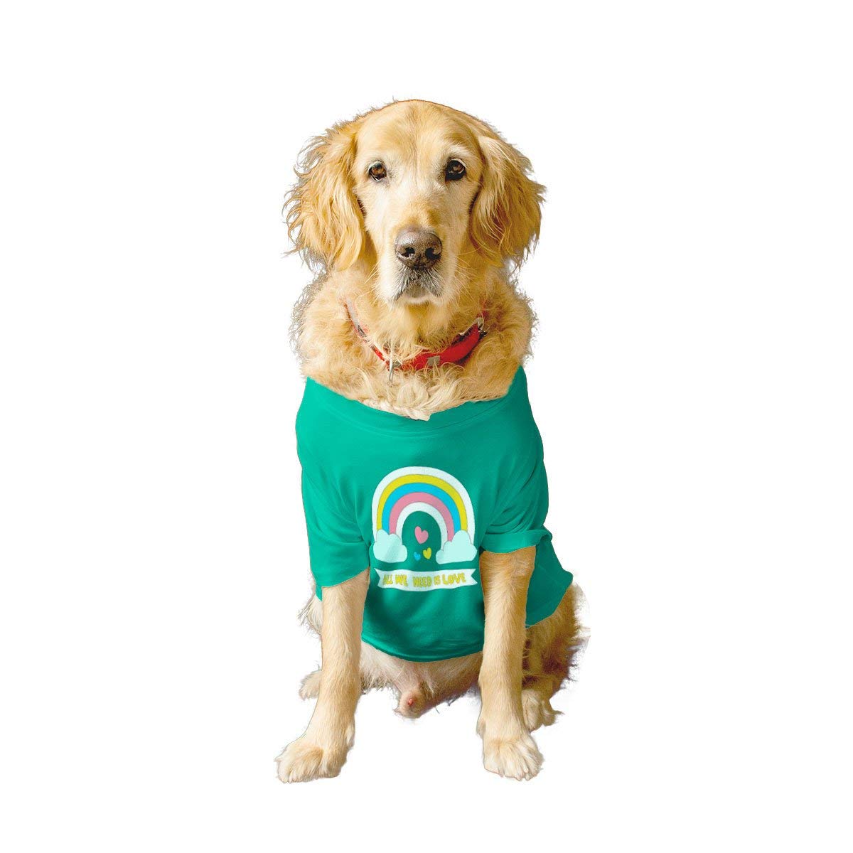 RuseRuse Basic Dog T-Shirt All WE Need is Love Printed Pets Crew Neck Half Sleeves Shirt/Apparel/Clothes/Tees Gift for Dogs (Aqua Green, XXL) Full Grown Saint Bernard, Great Dane etc