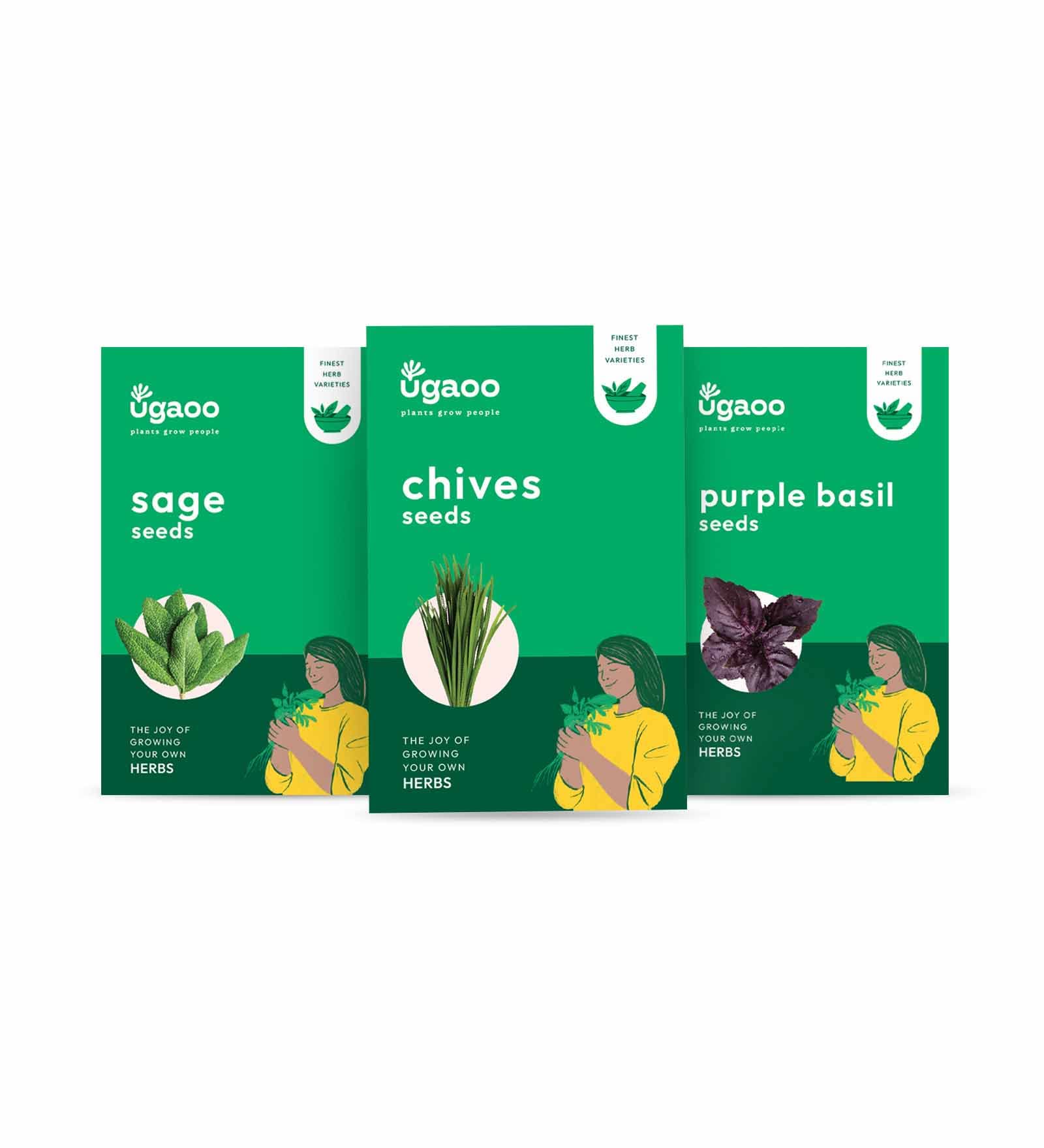 UGAOO Herb Seeds Combo Of Chives, Sage, Purple Basil (B09PLGLN27) Amazon Price History, Amazon Price Tracker