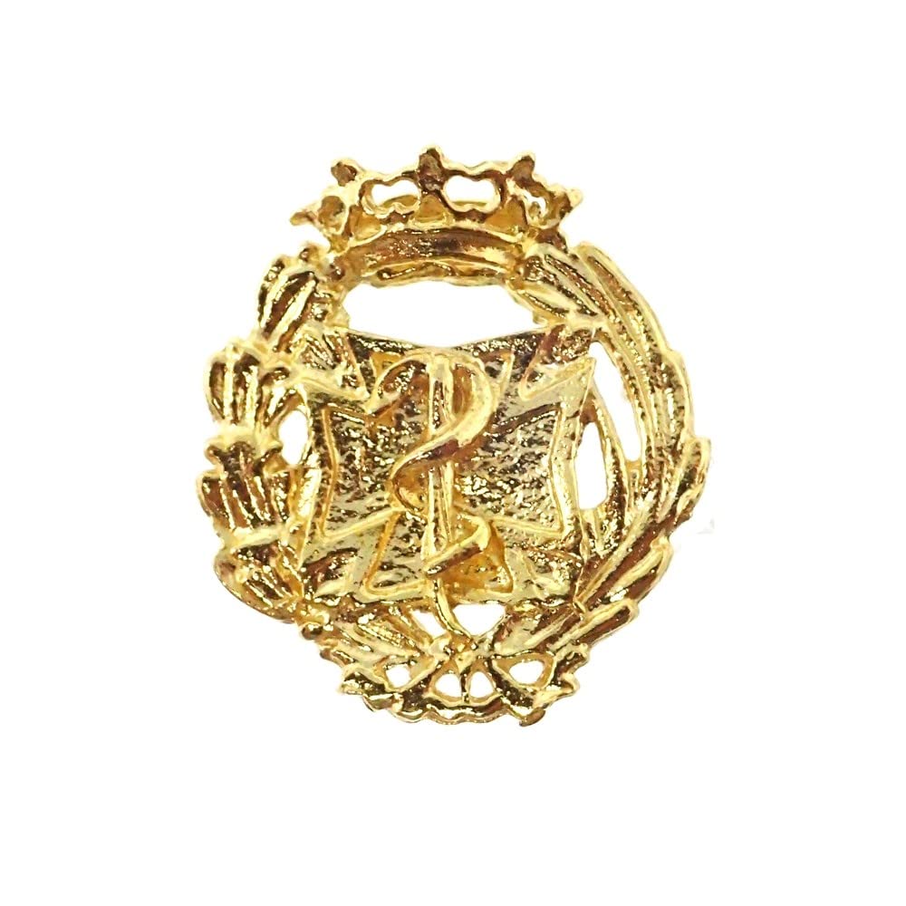 Insignia Profesional Odontología Escudo Plata 925m Ley 17mm. Pin Chapado Oro Cierre Trasero latón