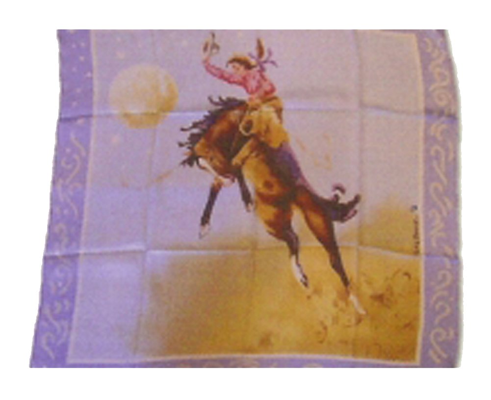 Wyoming Traders Blake Silk Scarf