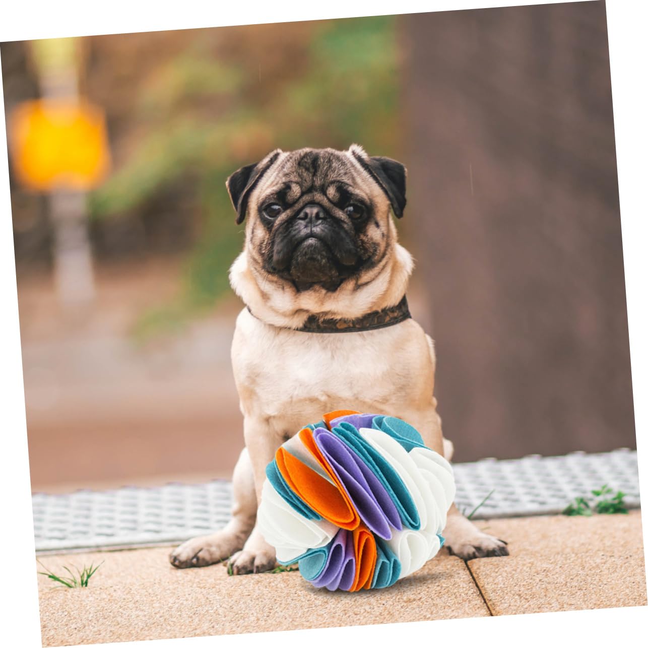 GALPADA Pelota Olfativa para Perros Interactiva, Juguete Masticable de Fieltro Duradero, 20 Cm, para Entretenimiento en Casa y Jardín, Adecuada para Perros Pequeños y Medianos