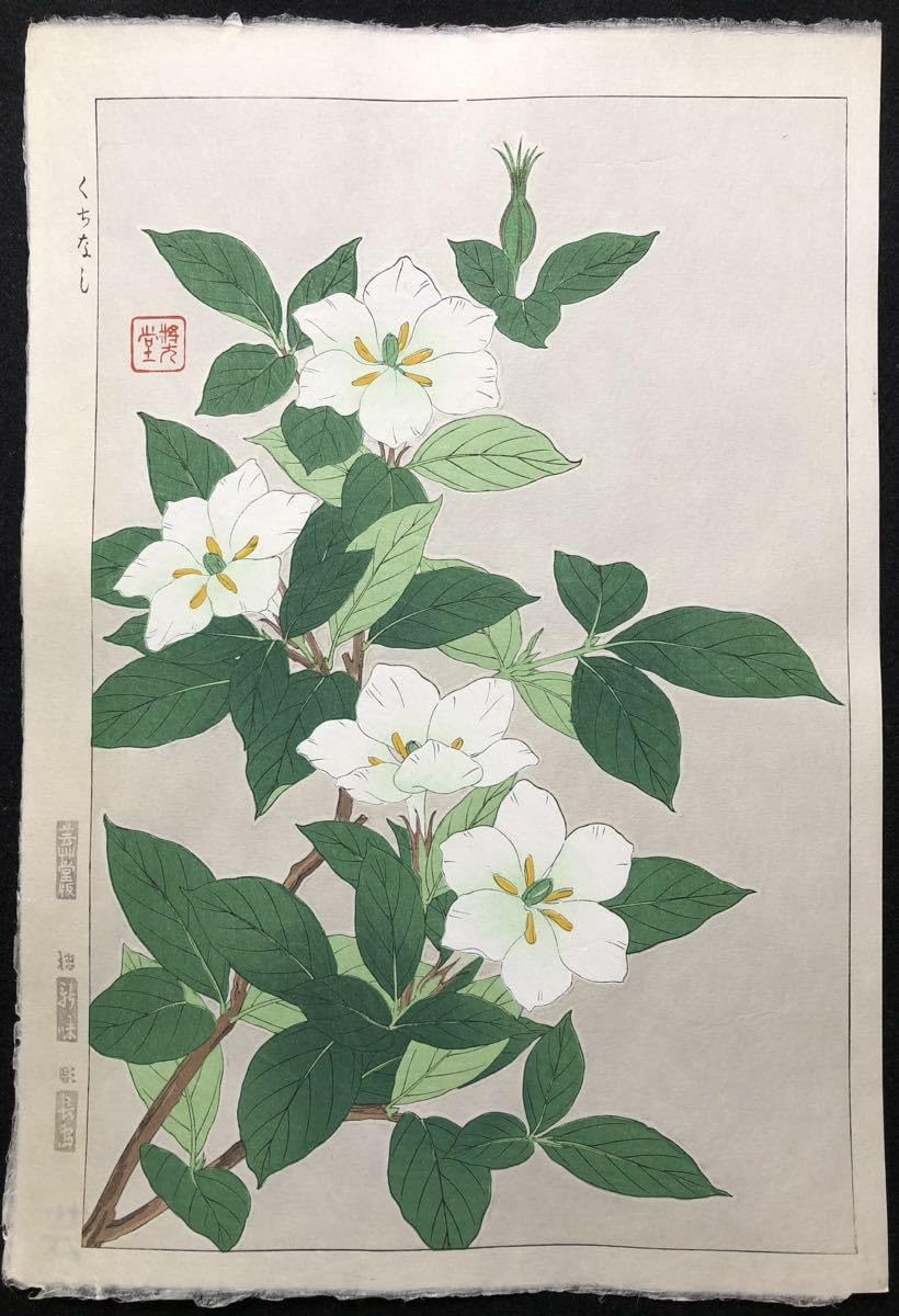 No228 木版画 河原崎奨堂【藤】芸艸堂版 大判 彫長島 摺吉田 真作保証 No228 木版画 河原崎奨堂【藤】芸艸堂版 大判 彫長島 摺吉田 真