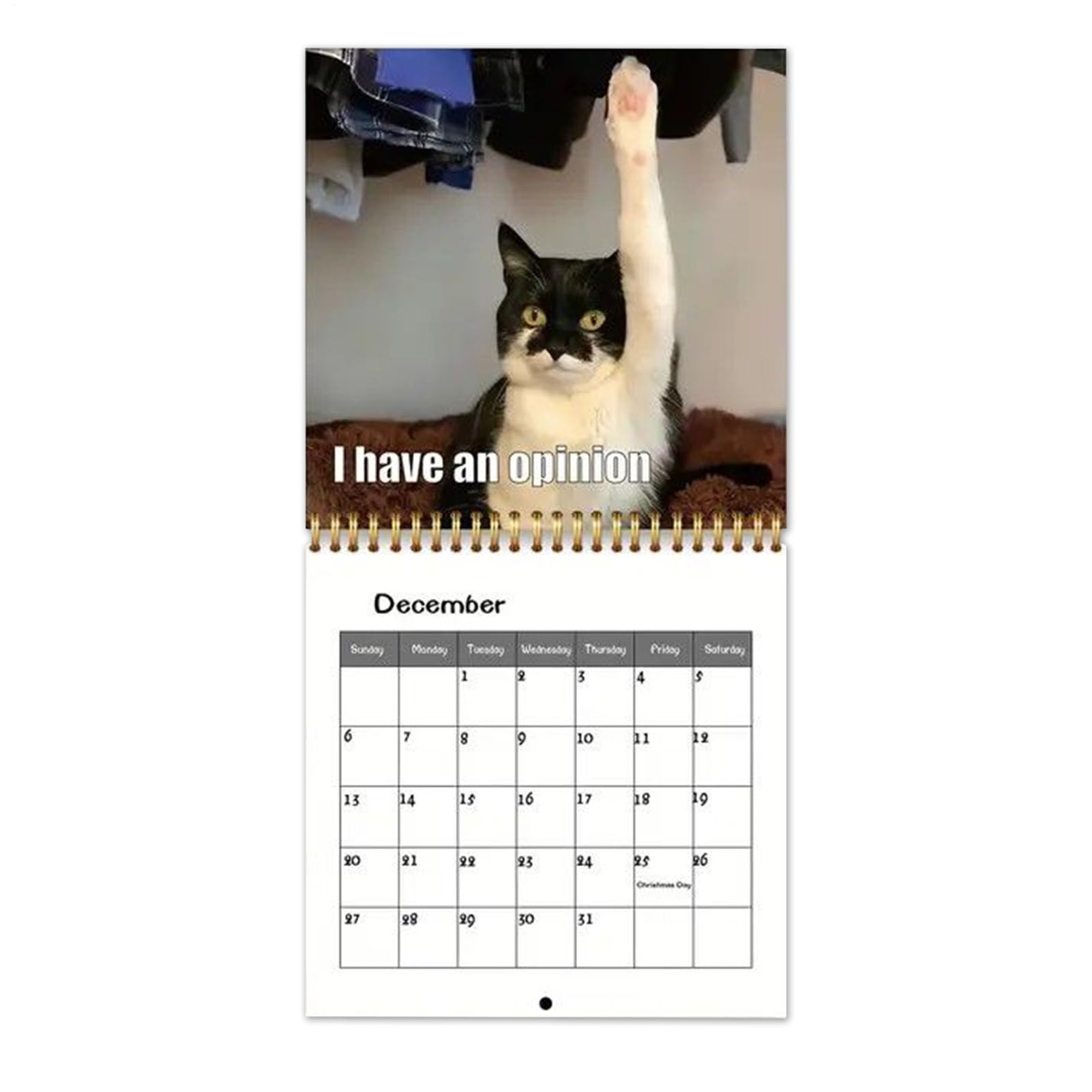 Wesleyyy ネコカレンダー,2026年12ヶ月壁掛けカレンダー | 家族友人向けスケジュールプランナー オフィスやホームデコレーションに最適 クリスマスギフトにも