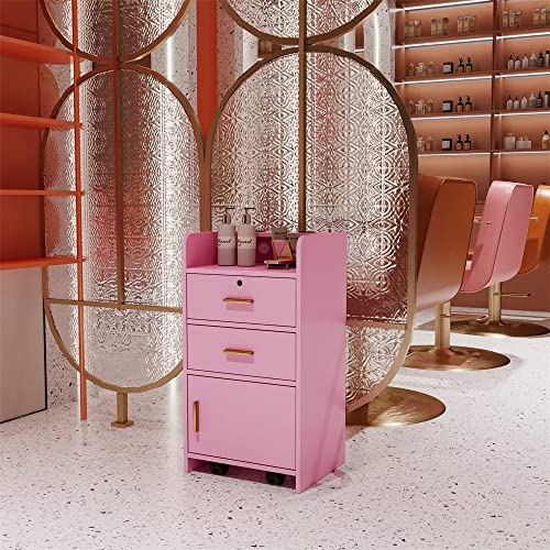JINS&VICO Beauty Salon Station with Wheels, Salon Stations for Hair Stylist with 2 Drawer and 1 Cabinet, Space Saving Salon Cart with 3 Hair Dryer Holders, Pink