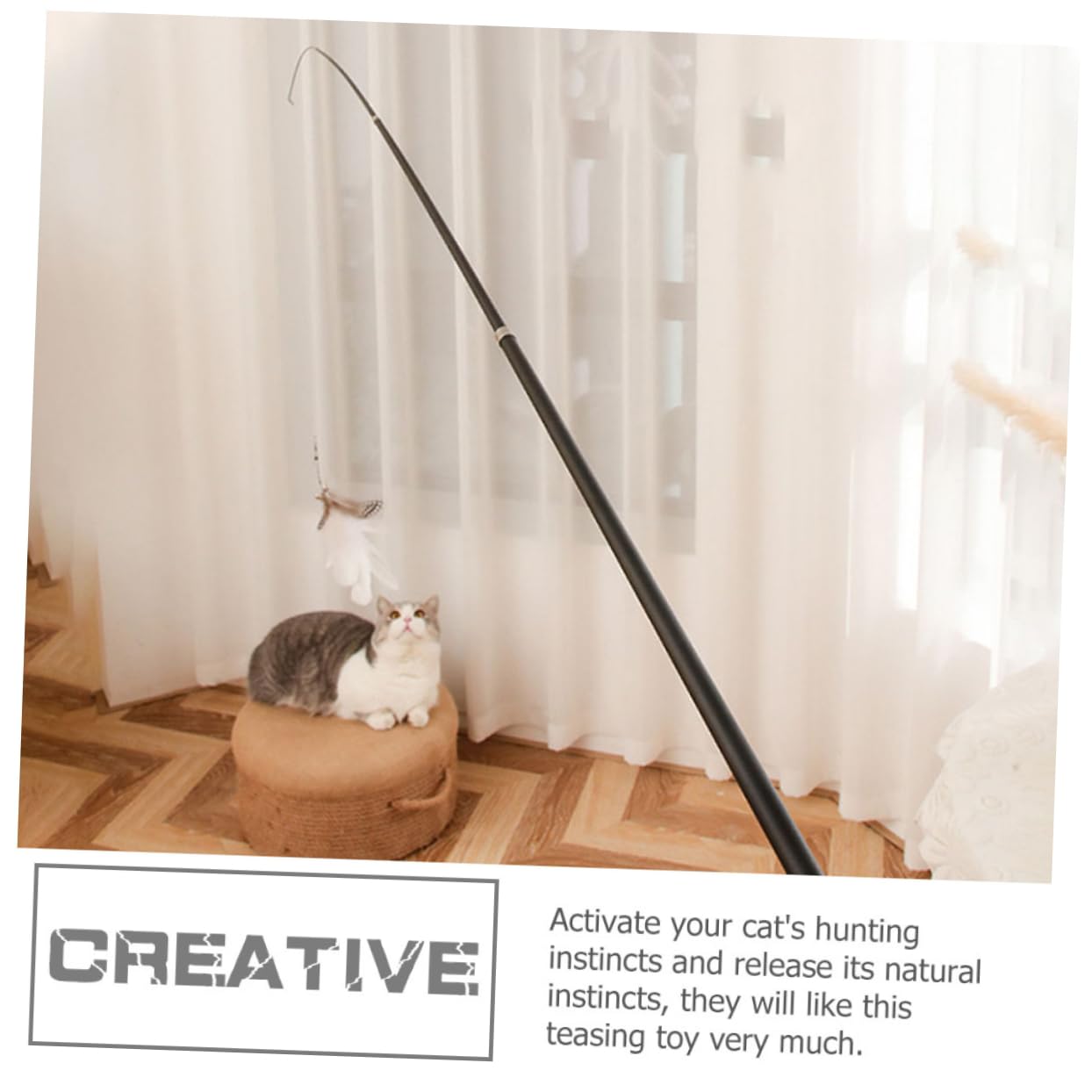 Toddmomy 8pièces Canne Téaser pour Chat Baguette Interactive Télescopique avec Plumes Jouet pour Chaton Et Chat Maison