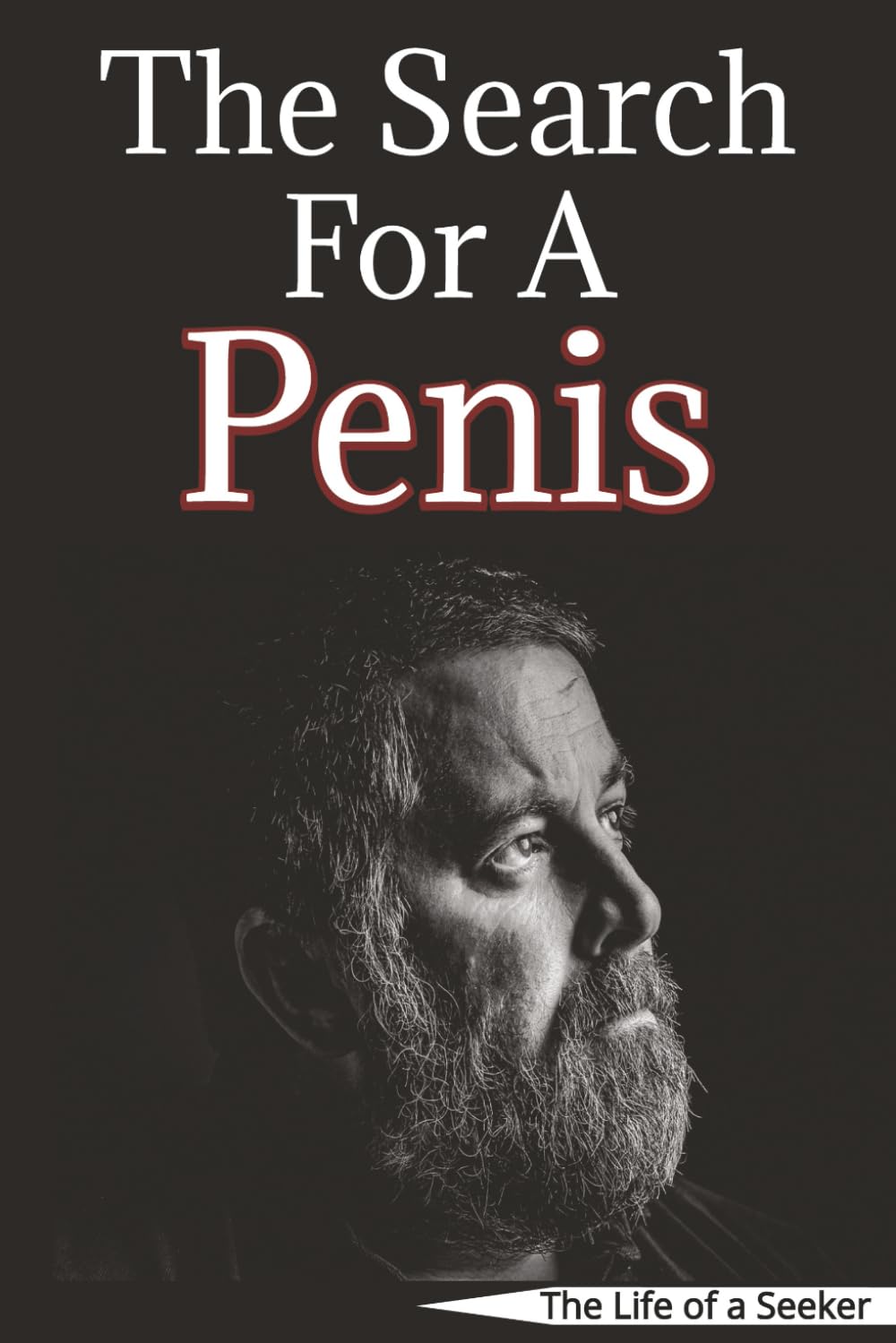The Search For A Penis: A Hilariously Inappropriate Puzzle Book for Adults Who Need to Laugh and Relax