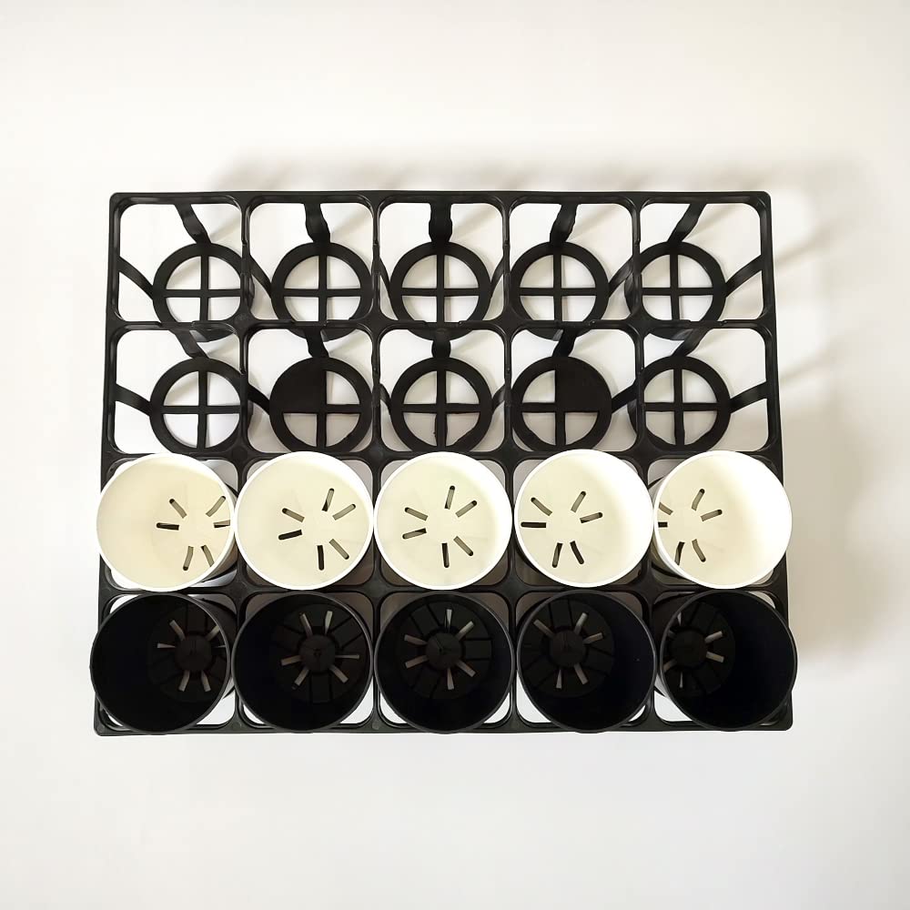 Amazon.co.jp: 園芸トレー ハーフサイズ 多肉植物 塊根