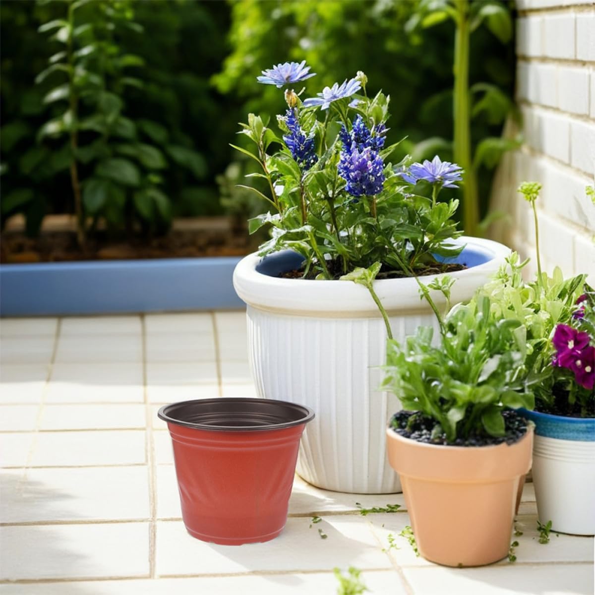 Hemobllo 60 pièces Pots Plastique pour Semis avec Drainage Petits Pots Deux Tons pour Cactus et Succulentes Jardinière de Transplantation pour Balcon et Jardin