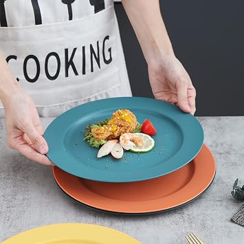 Kyraton 25cm Plastic Dinner Plates 8 pcs, Unbreakable and Reusable Light Weight Dinner Sets for 8 People, Easily Carry Plate for Indoor/Outdoor/Picnic/Home/Restaurant, Microwave Safe BPA Free
