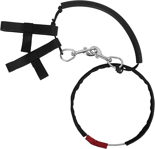 Tgoon Correa de transporte de botella de etapa, correa de botella de acero inoxidable para barco al aire libre